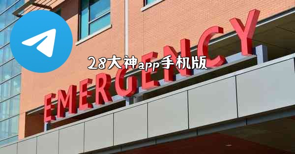 28大神app手机版