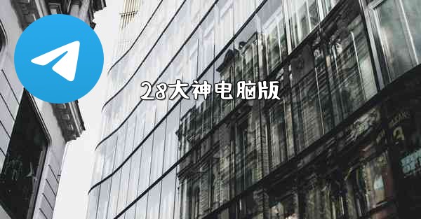 28大神电脑版