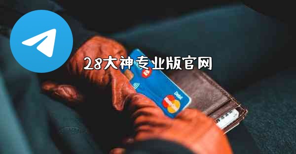 28大神专业版官网