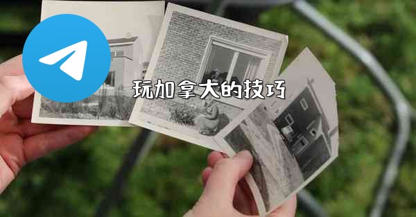 玩加拿大的技巧