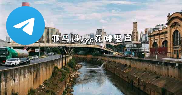 亚马逊kyc在哪里查