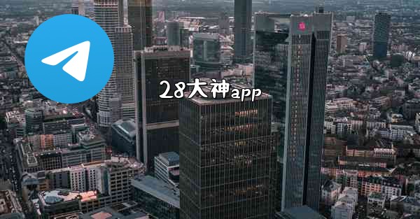 <b>28大神app</b>