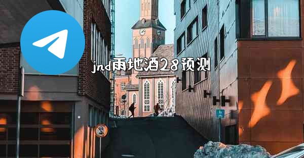 jnd雨地酒28预测