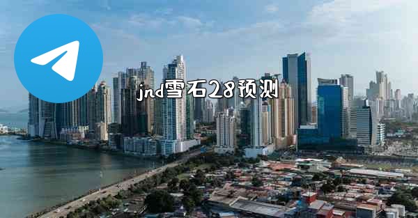 jnd雪石28预测
