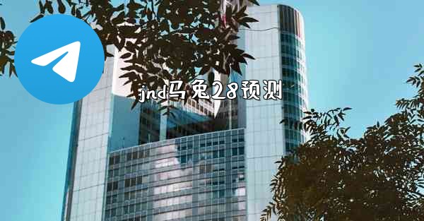 jnd马兔28预测