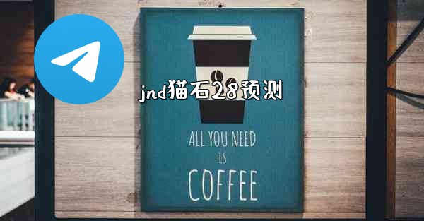 jnd猫石28预测