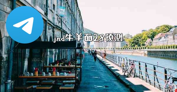 jnd牛羊面28预测