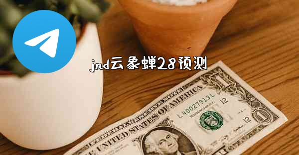 jnd云象蝉28预测