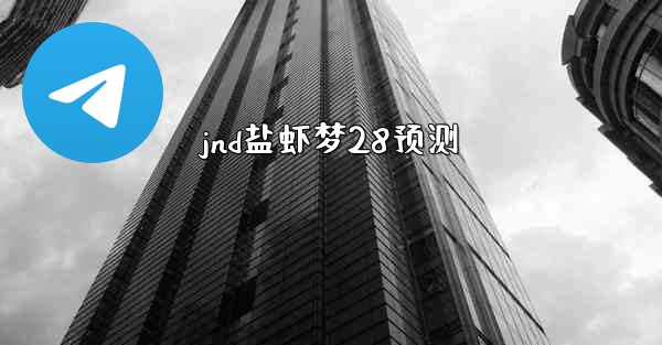 jnd盐虾梦28预测