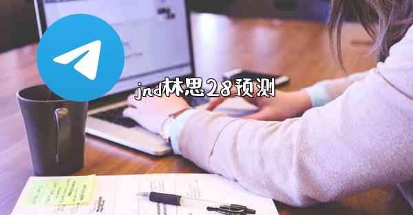 jnd林思28预测