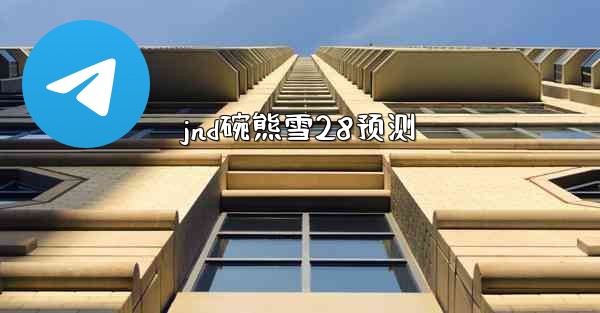 jnd碗熊雪28预测