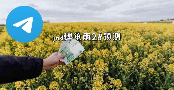 jnd蝉龟雨28预测