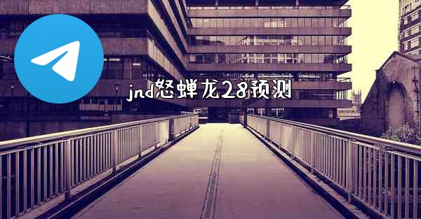 jnd怒蝉龙28预测