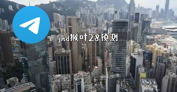 jnd猴叶28预测