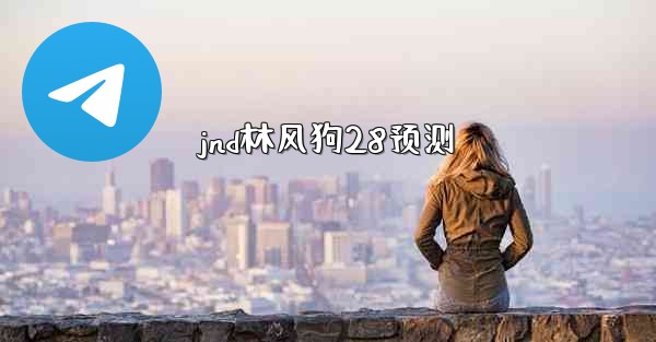 jnd林风狗28预测