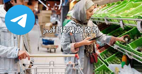 jnd鞋猪湖28预测