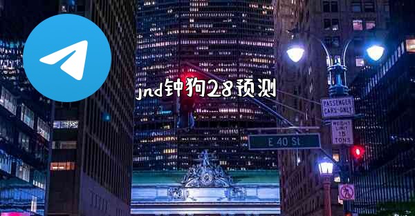jnd钟狗28预测