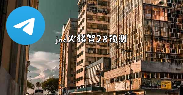 jnd火猪智28预测