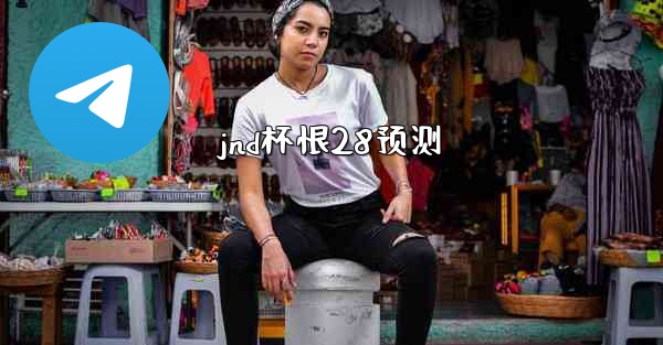 jnd杯恨28预测