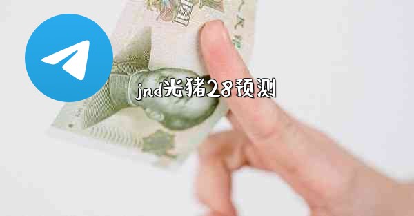 jnd光猪28预测