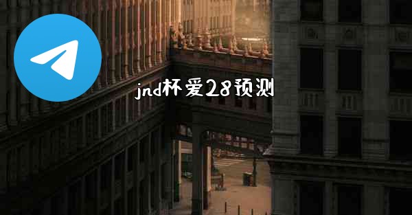 jnd杯爱28预测