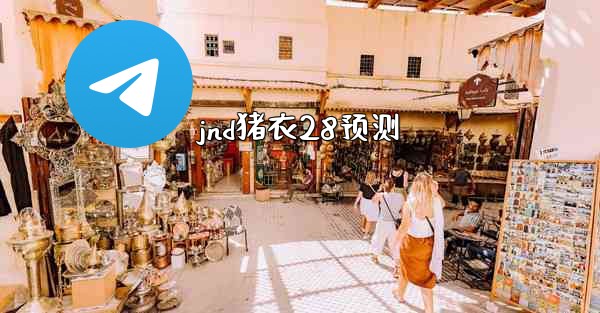 jnd猪衣28预测