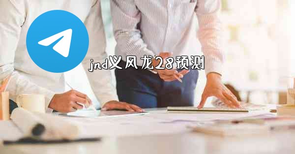 jnd义风龙28预测