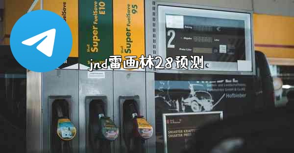 jnd雷画林28预测