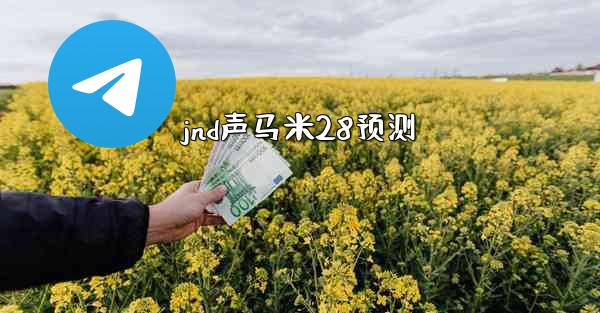 jnd声马米28预测