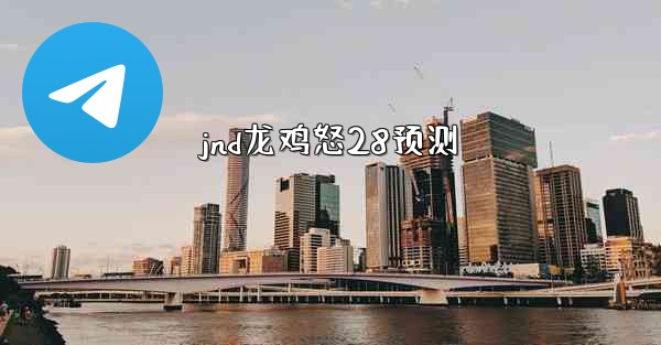 jnd龙鸡怒28预测