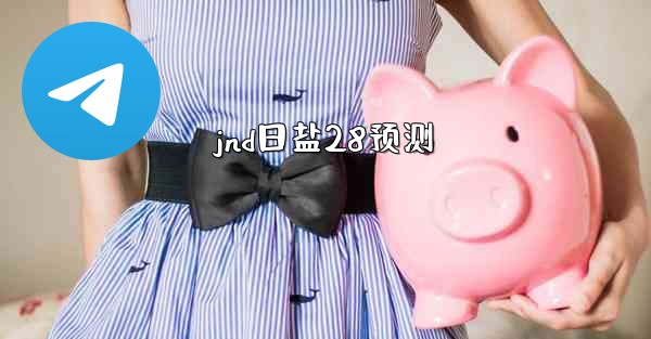 jnd日盐28预测