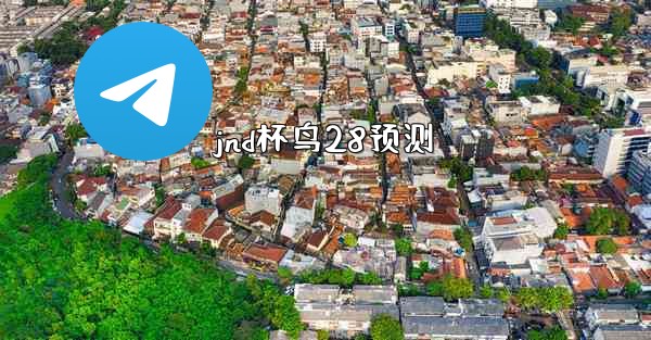jnd杯鸟28预测