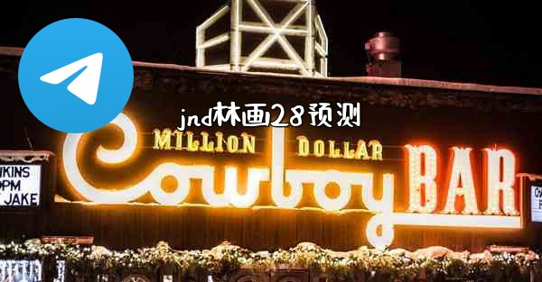 jnd林画28预测