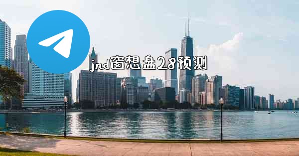 jnd窗想盘28预测