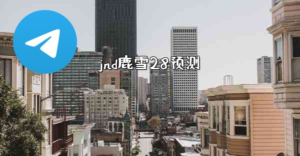 jnd鹿雪28预测