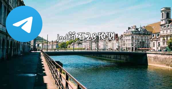 jnd药石28预测