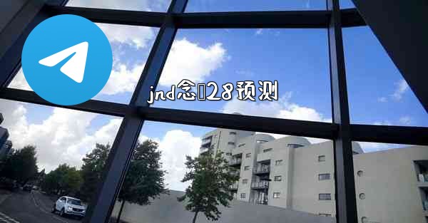 jnd念鹅28预测