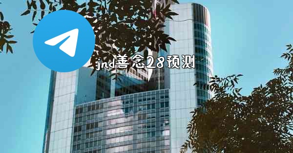 jnd善念28预测