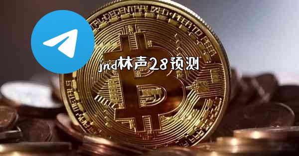 jnd林声28预测