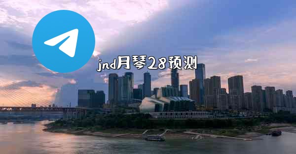 jnd月琴28预测