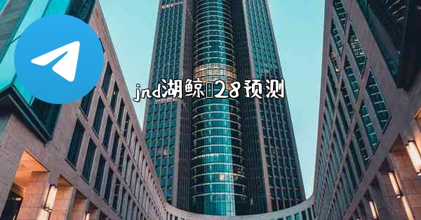 jnd湖鲸鹅28预测