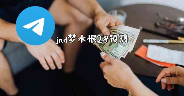 jnd梦水恨28预测