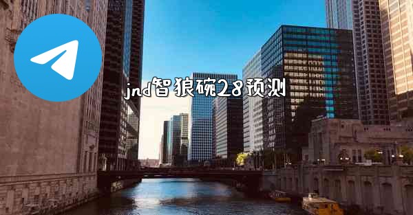 jnd智狼碗28预测