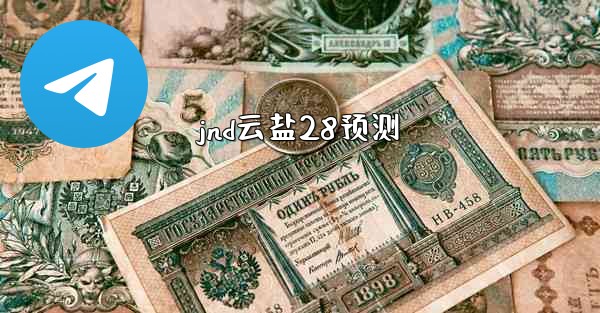 jnd云盐28预测