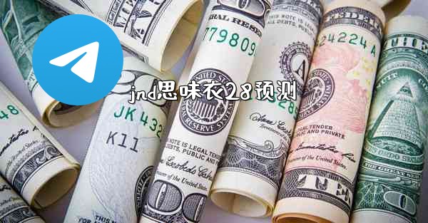 jnd思味衣28预测