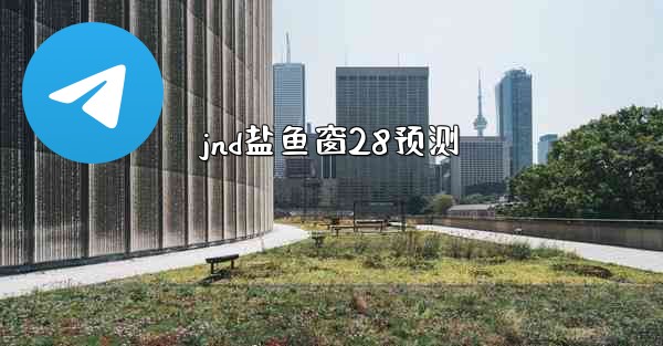 jnd盐鱼窗28预测