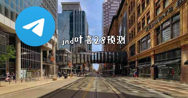 jnd叶喜28预测