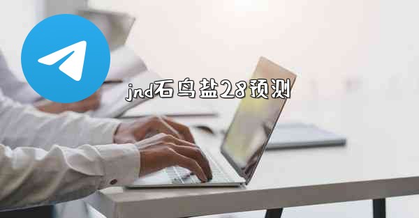 jnd石鸟盐28预测