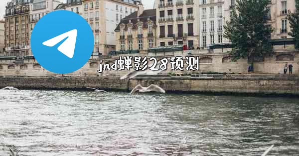 jnd蝉影28预测