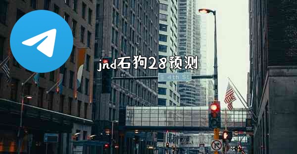 jnd石狗28预测